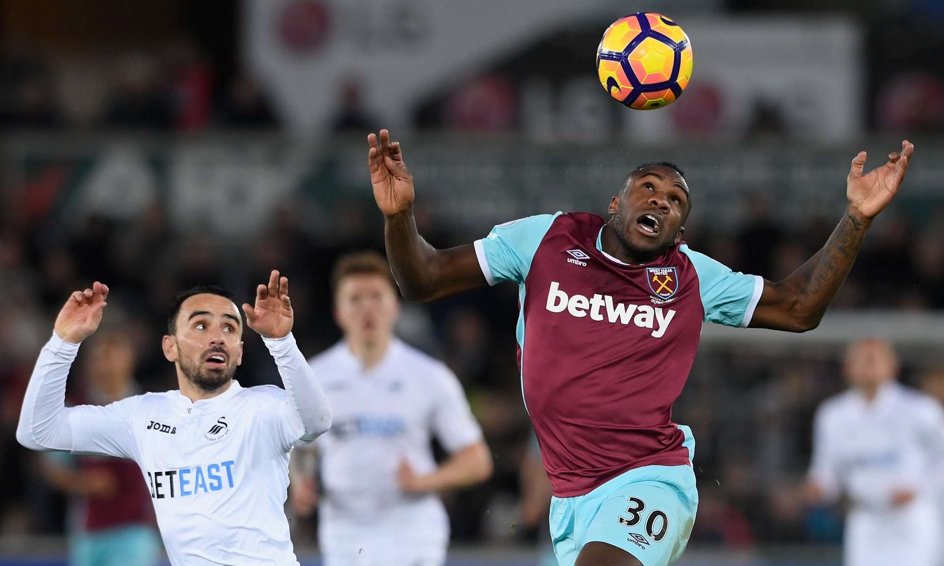 我们期待看 我们期待看